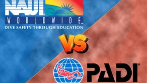NAUI vs PADI: What New Divers Should Know