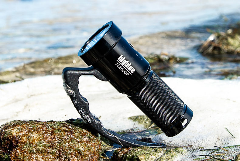 Dive Lights
