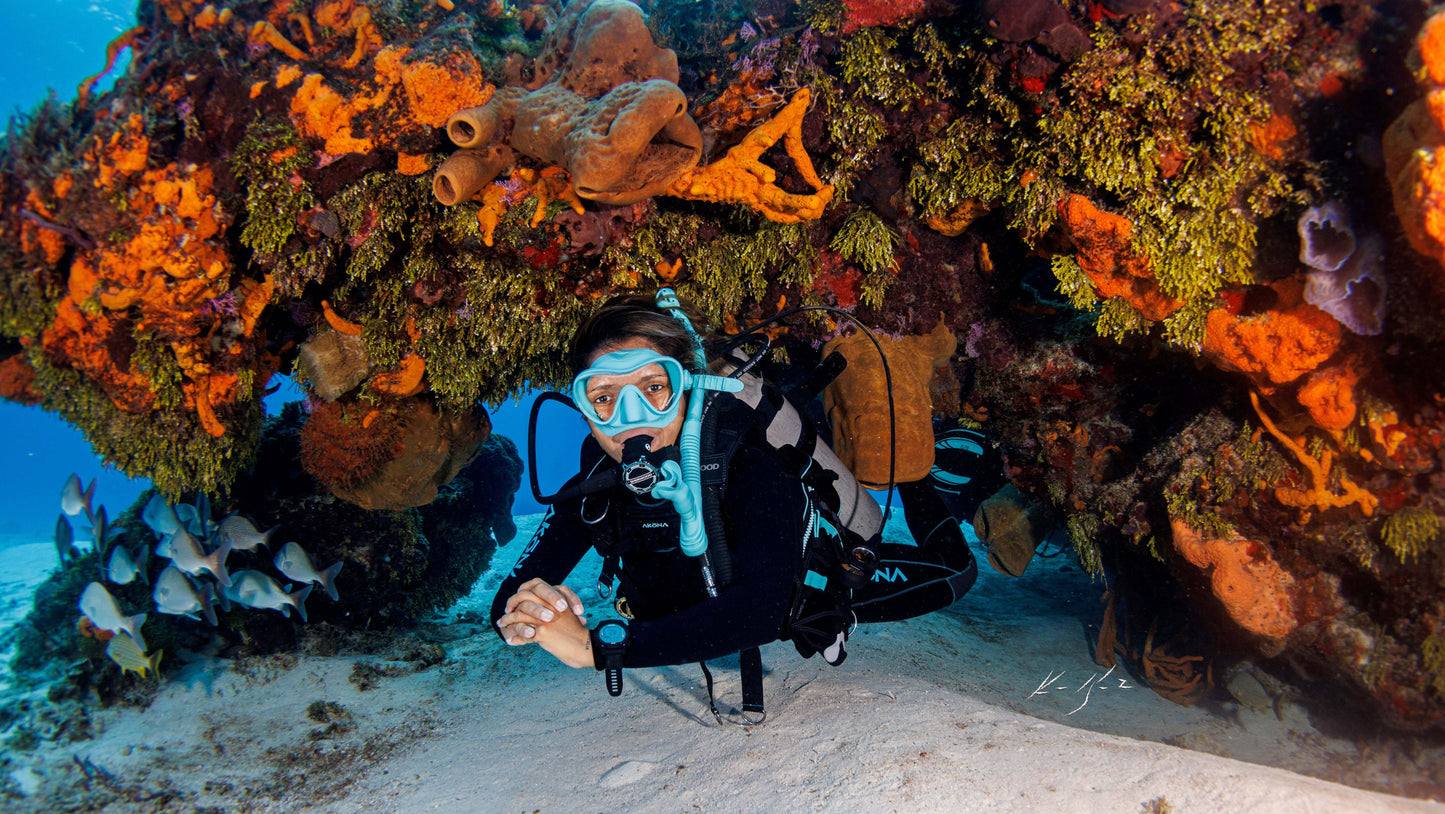 Cozumel Vacation March 14th-March 21st, 2026