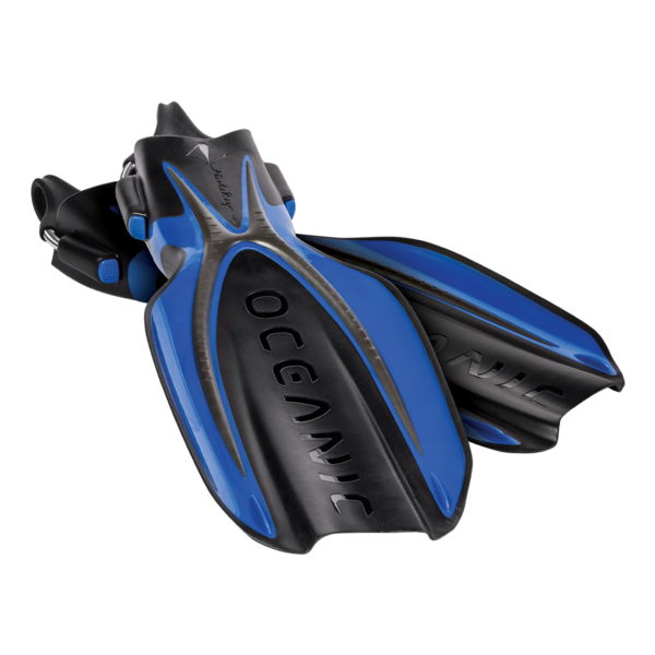 Oceanic Manta Ray