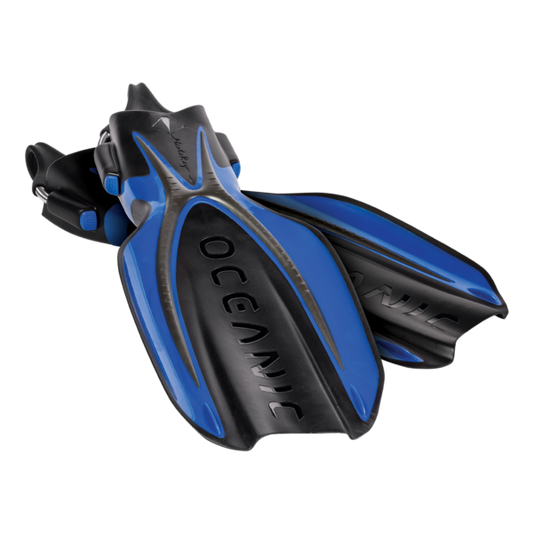 Oceanic Manta Ray